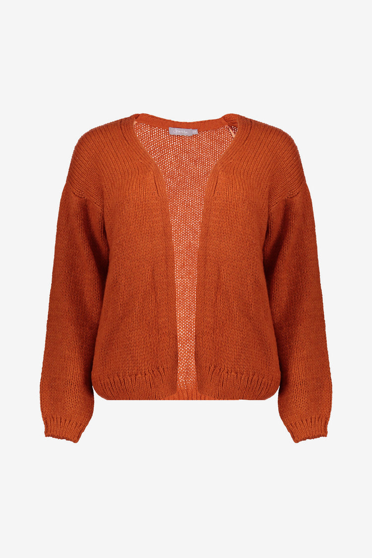 Geisha dames basic gebreid vest